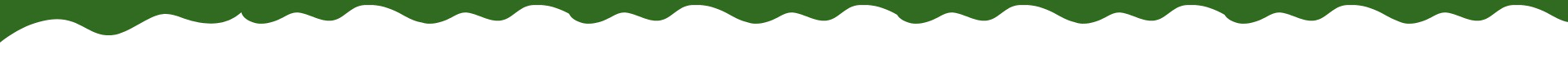 nssgtrading_nongsansaigon