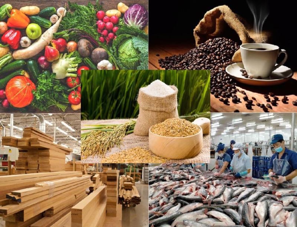 Cảnh giác trước tình trạng giả mạo thương hiệu nông sản