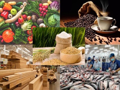 Cảnh giác trước tình trạng giả mạo thương hiệu nông sản