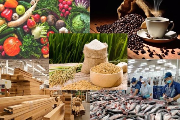 Cảnh giác trước tình trạng giả mạo thương hiệu nông sản